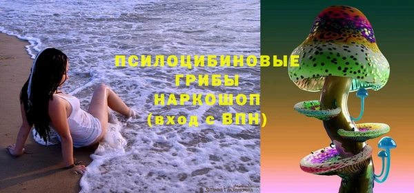 ПСИЛОЦИБИНОВЫЕ ГРИБЫ Алексеевка